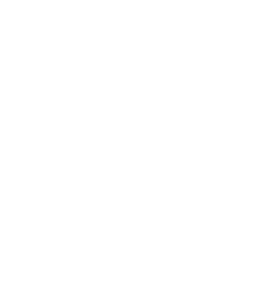 MSU Summer Gymnastics Camps